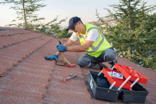Roof Waterproofing Services in Tucson Estates, AZ