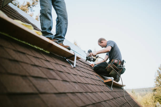 Best Roof Gutter Cleaning  in Tucson Estates, AZ